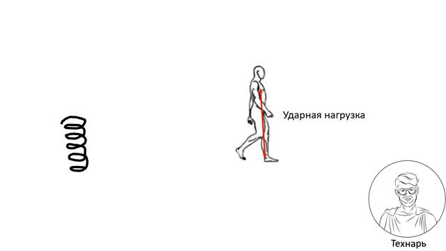 Зачем нам изогнутый позвоночник?