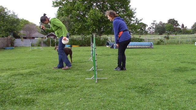Doberman - Practice 29-09-2016 смотреть онлайн