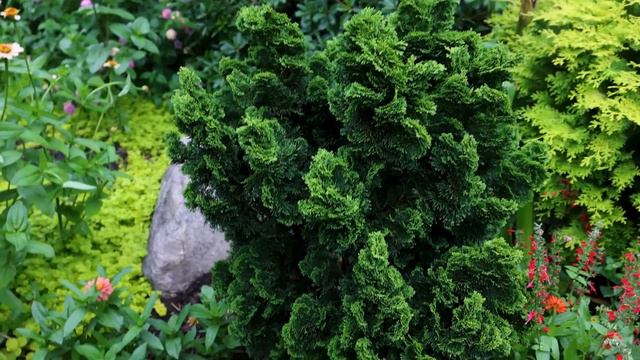 Clown College Garden Design Tour - P9 смотреть онлайн