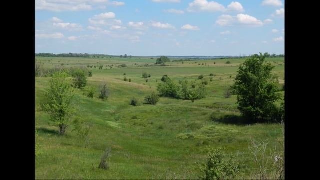 село Сухая - Берёзовка смотреть онлайн