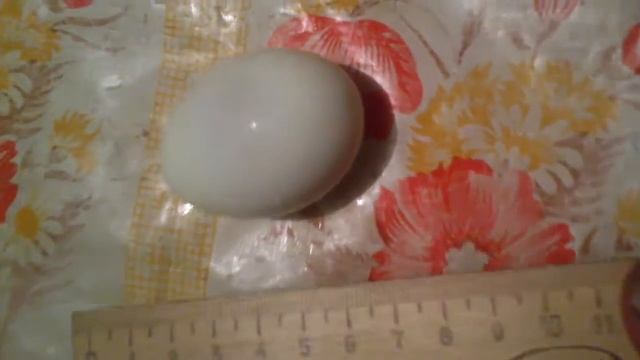 Проглотил 2 варёных яйца смотреть онлайн