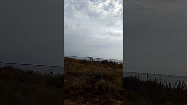 Вид на лиман 2016 смотреть онлайн