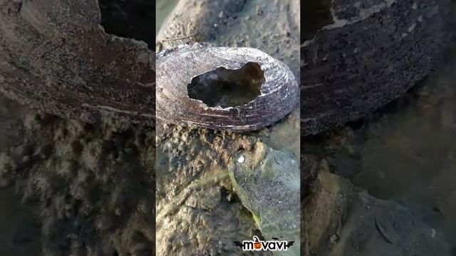 ? Время, проведенное на рыбалке, в счет жизни не идет!(с)?? смотреть онлайн