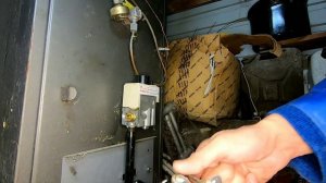 Конорд тухнет.