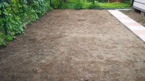 Газон своими руками по цене семян. Пробный участок.