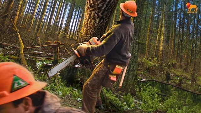 Свидетельство об аде. Удивительное чудо в Орегоне, Томас Уэлч смотреть онлайн