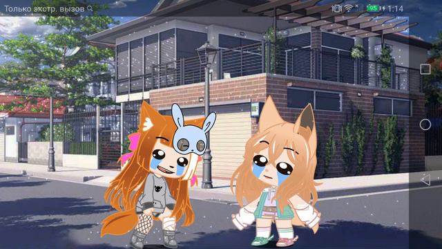 Meme: умный человек😹 смотреть онлайн