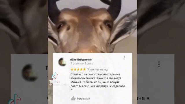 Отличный отзыв ? смотреть онлайн