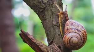 ✨Спокойной ночи, малыши!✨ Вместе с домиком