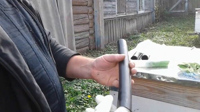 Разумная борьба с мышами смотреть онлайн