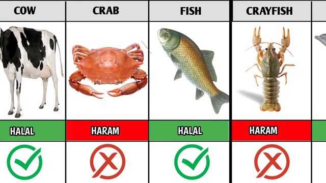 Halal And Haram Animal Meat In Islam | Halal And Haram Meat In Islam | Comparison 2023