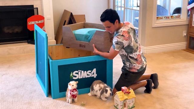 Unboxing a huge box from The Sims 4 to Bini the Bunny смотреть онлайн