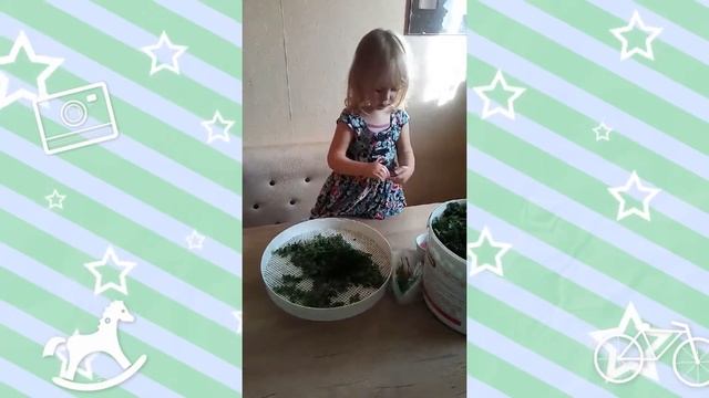 Моя семья.Дистанционная работа с родителями во второй младшей группе ДОУ смотреть онлайн