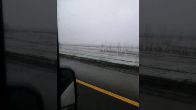 video_2024-03-03_09-17-48