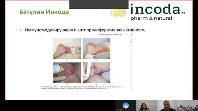 Не для слабонервных!!! Как кора березы может спасти Вашу кожу от страшных заболеваний. Бетулин. смотреть онлайн