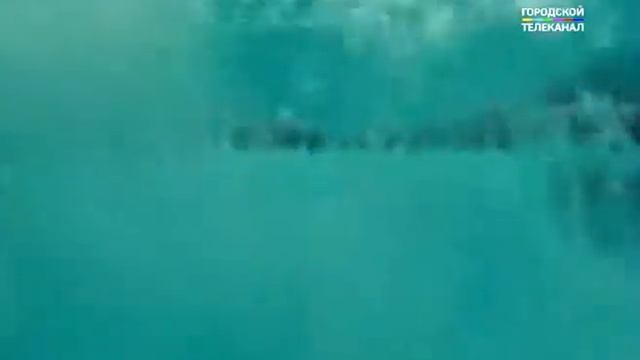 Ярославцы привезли 11 медалей с Первенства России по подводному плаванию смотреть онлайн