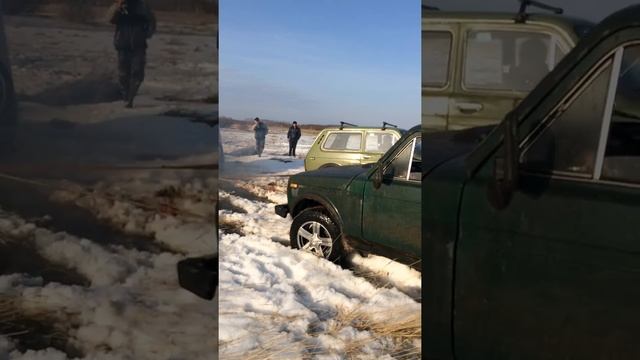 как из болота тащили бегемота смотреть онлайн