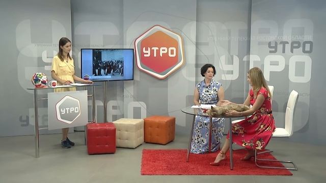 УТРО на "Дон 24": секрет популярности котиков. В гостях – заводчица мейн-кунов смотреть онлайн