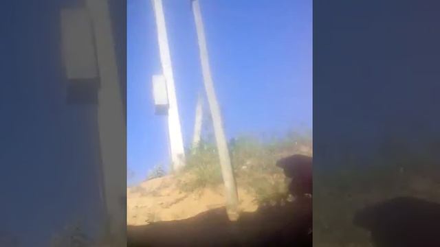 O mínino infelis cabra da peste смотреть онлайн