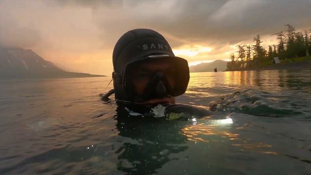 Дайвинг на озере Лама, июль 2021 #diving смотреть онлайн
