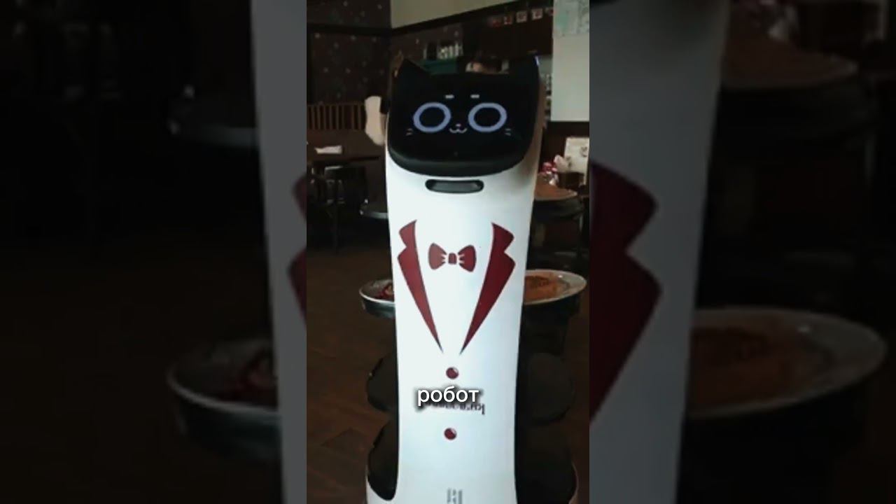 Кот-робот-официант появился в одном Мозырском ресторане смотреть онлайн