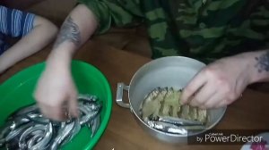 Решили закоптить мойву#копчение мойвы#маринад#копчение