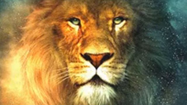 Дикая львица смотреть онлайн