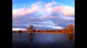 Жизнь прожил и не заметил.