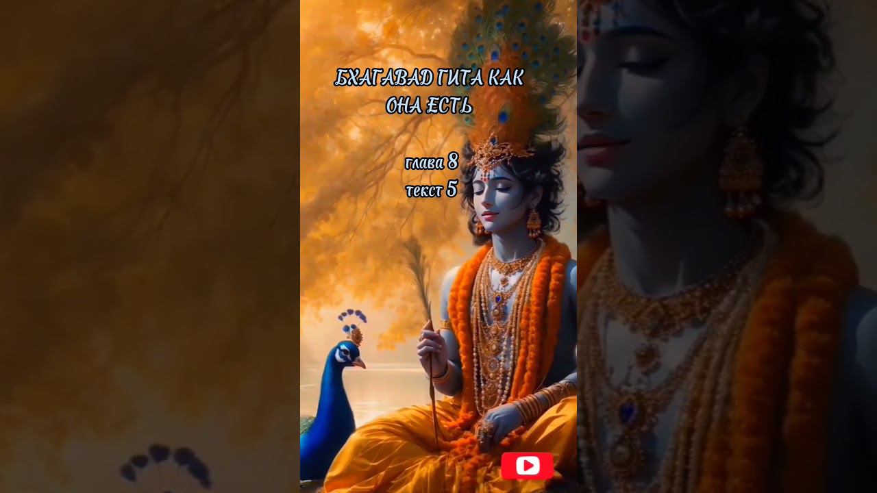Бхагавад Гита как она есть глава 8, текст 5