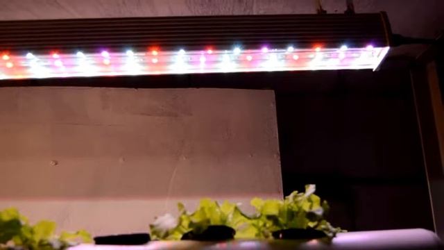 Обзор LED лампы GHL-100 от Smart Glow смотреть онлайн