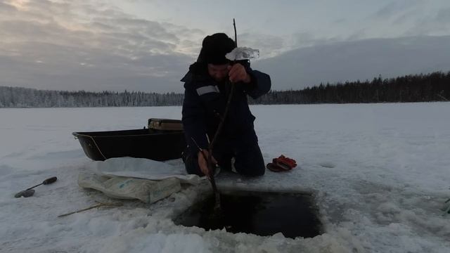 СТАВИМ СЕТИ у СТАРОЙ ИЗБЫ. УСТАНОВКА СЕТЕЙ под ЛЁД с ПОМОЩЬЮ ТОРПЕДЫ. Часть вторая. смотреть онлайн