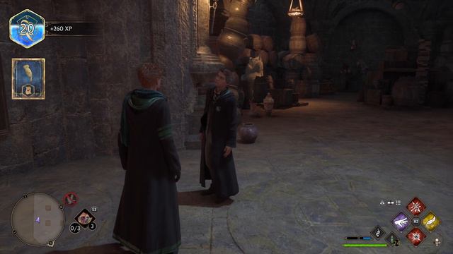 HOGWARTS LEGACY ПРОХОЖДЕНИЕ БЕЗ КОММЕНТАРИЕВ ЧАСТЬ 14 ➤ Хогвартс Наследие Тайна Анны и коллеги смотреть онлайн