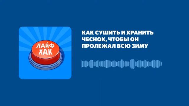 Как сушить и хранить чеснок, чтобы он пролежал всю зиму смотреть онлайн