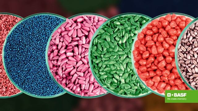 Почему важна обработка семян? смотреть онлайн