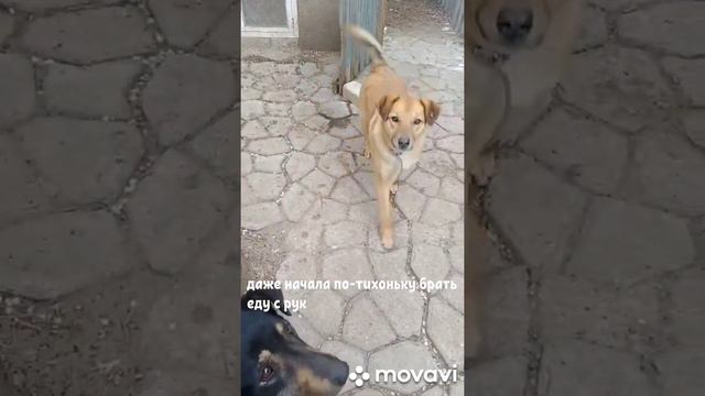 Грейс очень нужна семья! смотреть онлайн