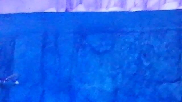 Пингвины в Стамбуле. Аквариум Стамбул. Океанариум. 11.02.19. смотреть онлайн