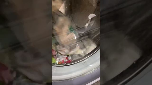 Как нужно мыть спонжи для макияжа ? смотреть онлайн