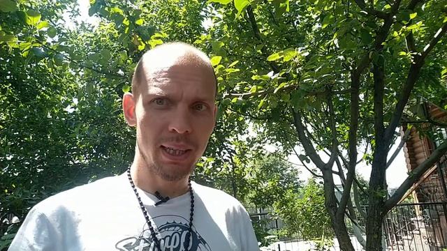 Памятка родителя или как воспитать победителя смотреть онлайн