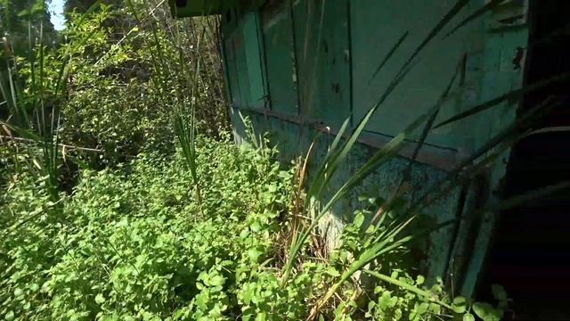 СОЧИ. Пляж "Крылья Балтики" и Старая Турбаза ☼ Прямо у границы с Абхазией .. смотреть онлайн