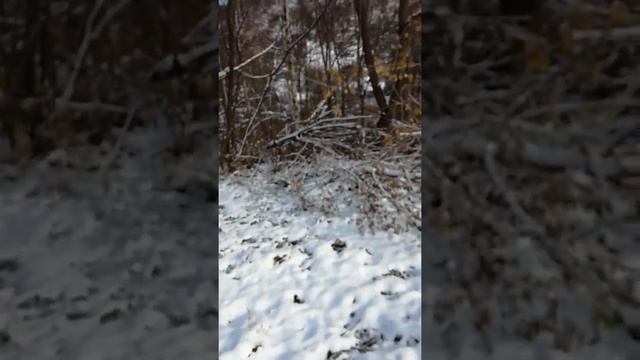 Как очистить участок от....? смотреть онлайн