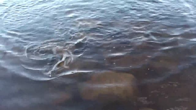 Ловля хариуса на ультралайт смотреть онлайн