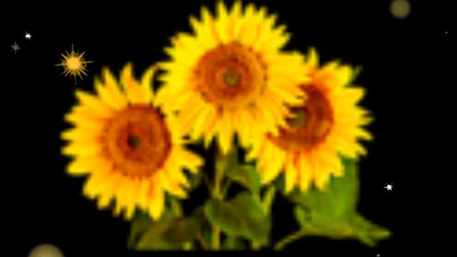 C 8 марта вас милые дамы! смотреть онлайн