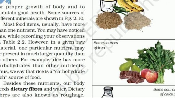 Food Components!!Proteins,Vitamins,Fats,Carbohydrates&Minerals!!NCERT Science Notes