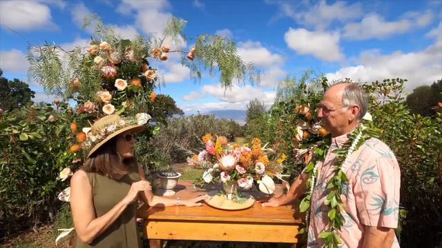 Maui Virtual Trade Show for HFNA смотреть онлайн
