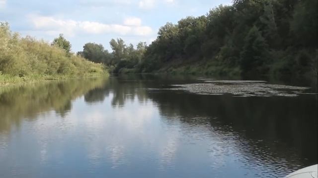 Сплав по реке Медведица смотреть онлайн