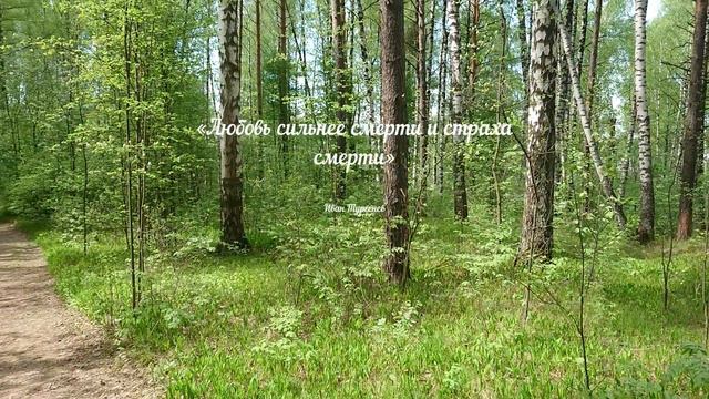 Яркие афоризмы и цитаты о любви и страсти от выдающихся мужчин