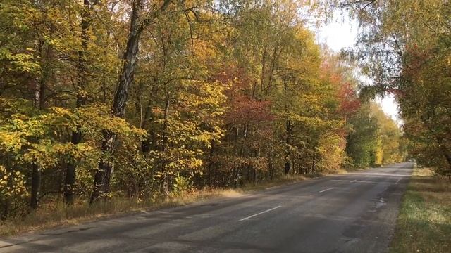 #38 Осень - красивая осень. Autumn - beautiful fall. смотреть онлайн