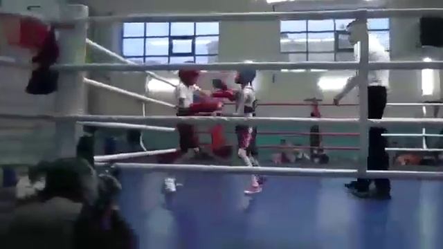Соревнования по боксу среди спортивных школ Оренбурга 7 декабря 2019 г. смотреть онлайн