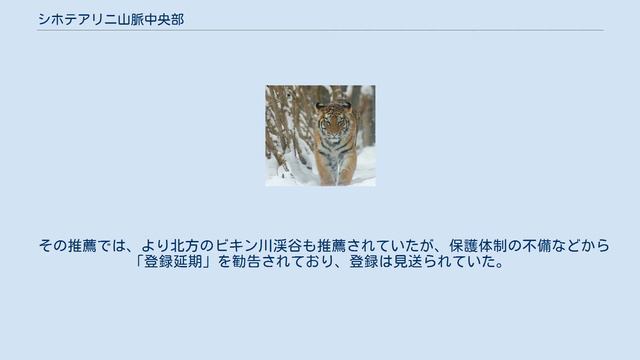 シホテアリニ山脈中央部 смотреть онлайн