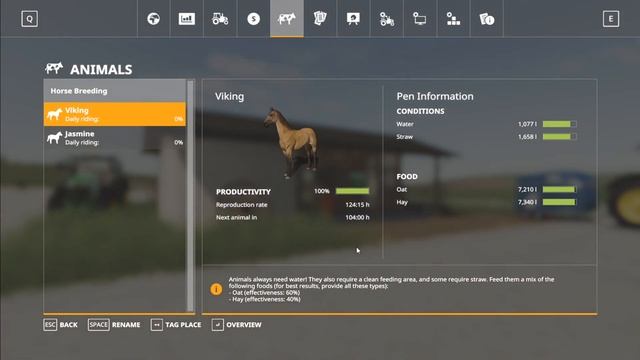 A Guide to Horse Breeding in Farming Simulator 19!! смотреть онлайн